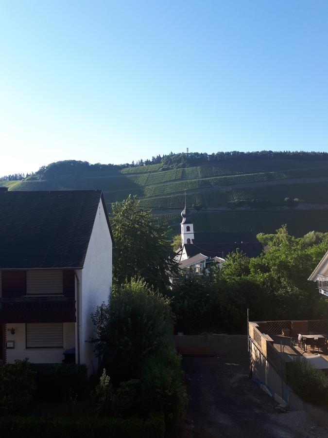 Gaestehaus Jufferpanorama Brauneberg Kültér fotó