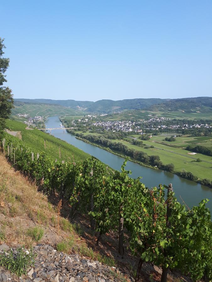 Gaestehaus Jufferpanorama Brauneberg Kültér fotó