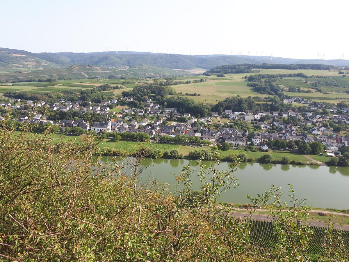 Gaestehaus Jufferpanorama Brauneberg Kültér fotó