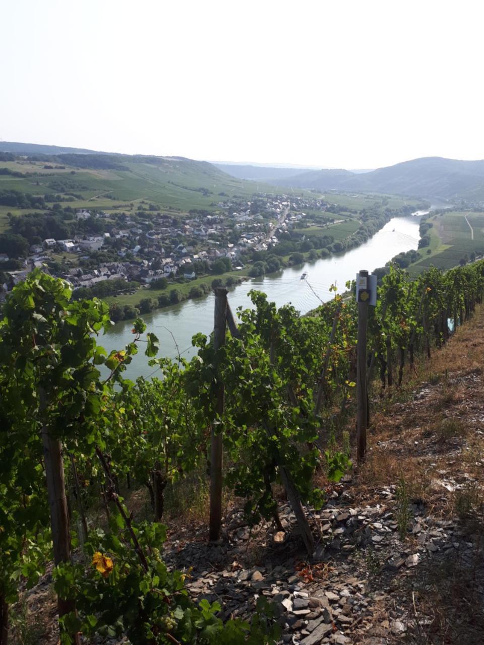 Gaestehaus Jufferpanorama Brauneberg Kültér fotó