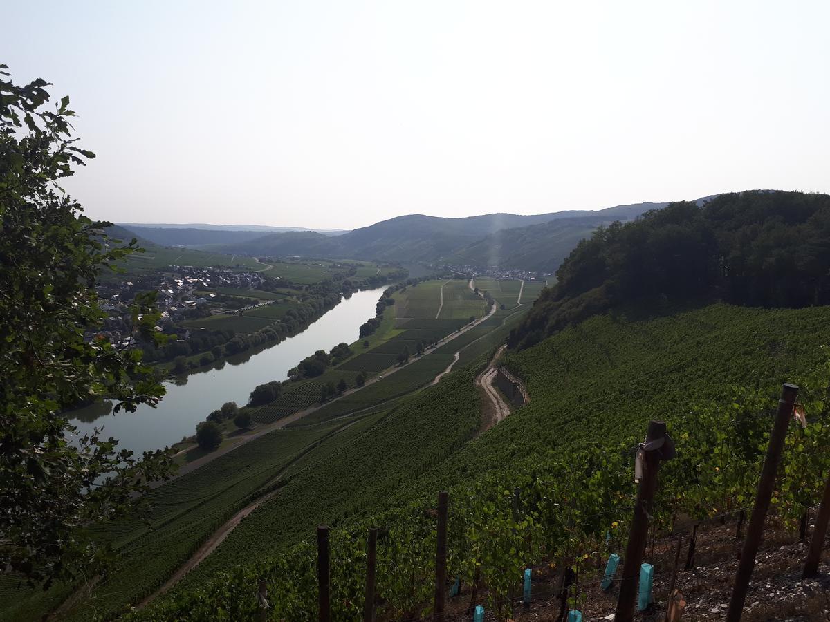 Gaestehaus Jufferpanorama Brauneberg Kültér fotó