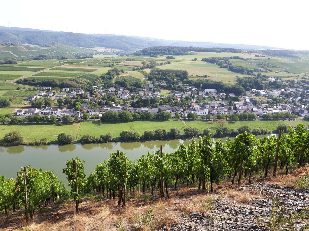 Gaestehaus Jufferpanorama Brauneberg Kültér fotó